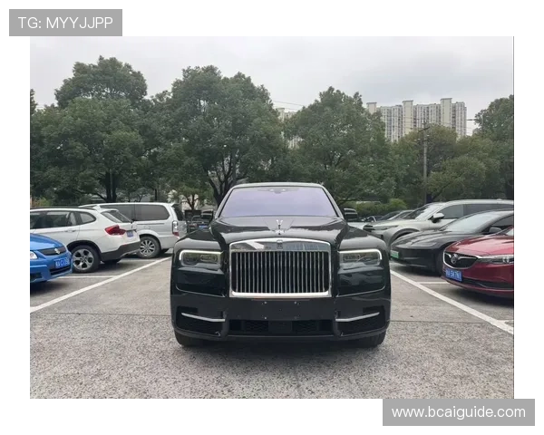 劳斯莱斯娱乐网:豪车维修保养技巧与车辆维护知识全攻略 劳斯莱斯娱乐网:豪车维修保养技巧与车辆维护知识全攻略